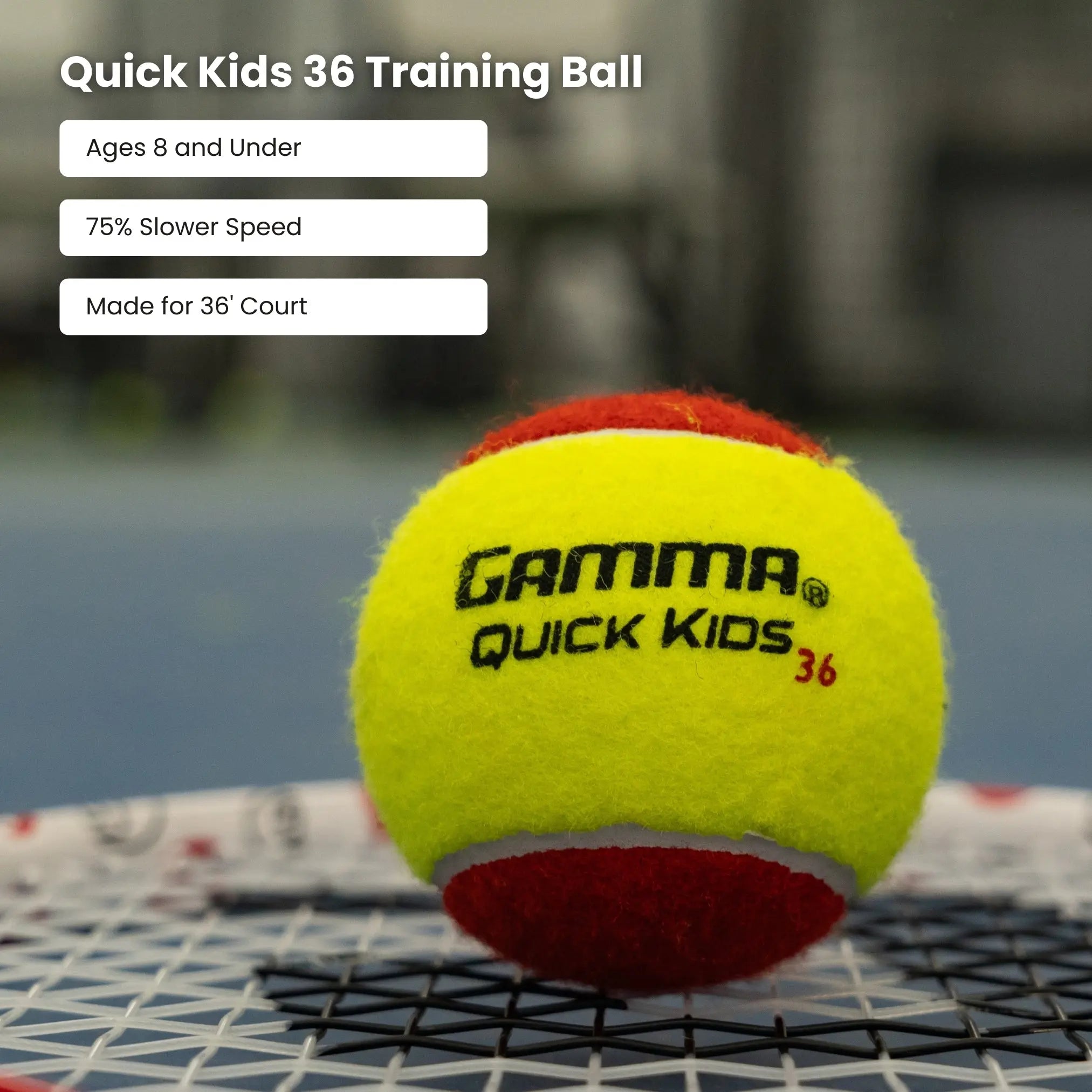 gamma-quick-kids-36-pallina-tennis-junior-pack image 2
