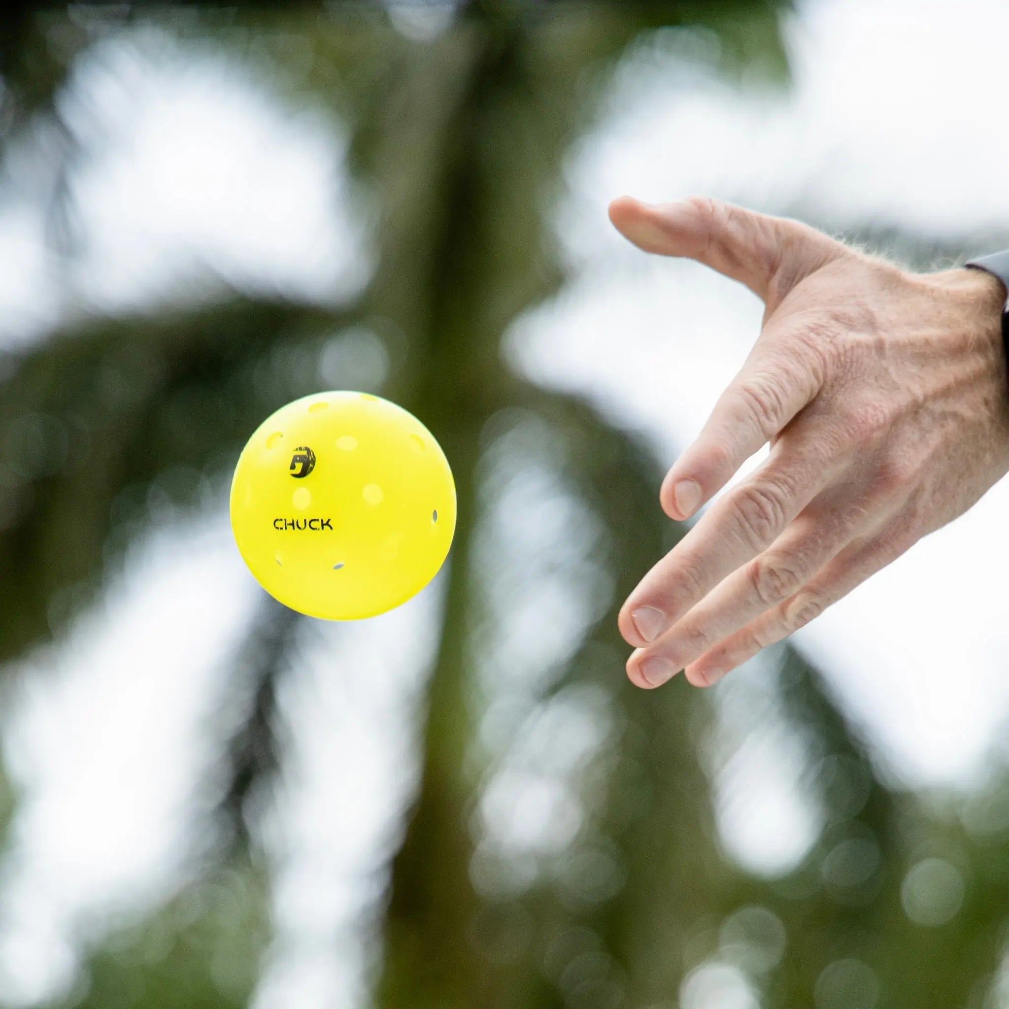 gamma-chuck-palline-pickleball-outdoor image 3